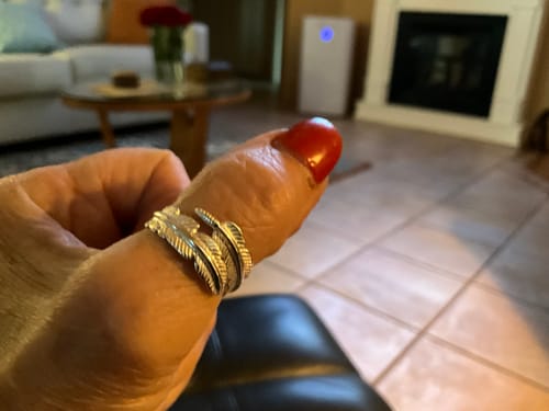 Customer photo review of First-In-Line Priority Processing