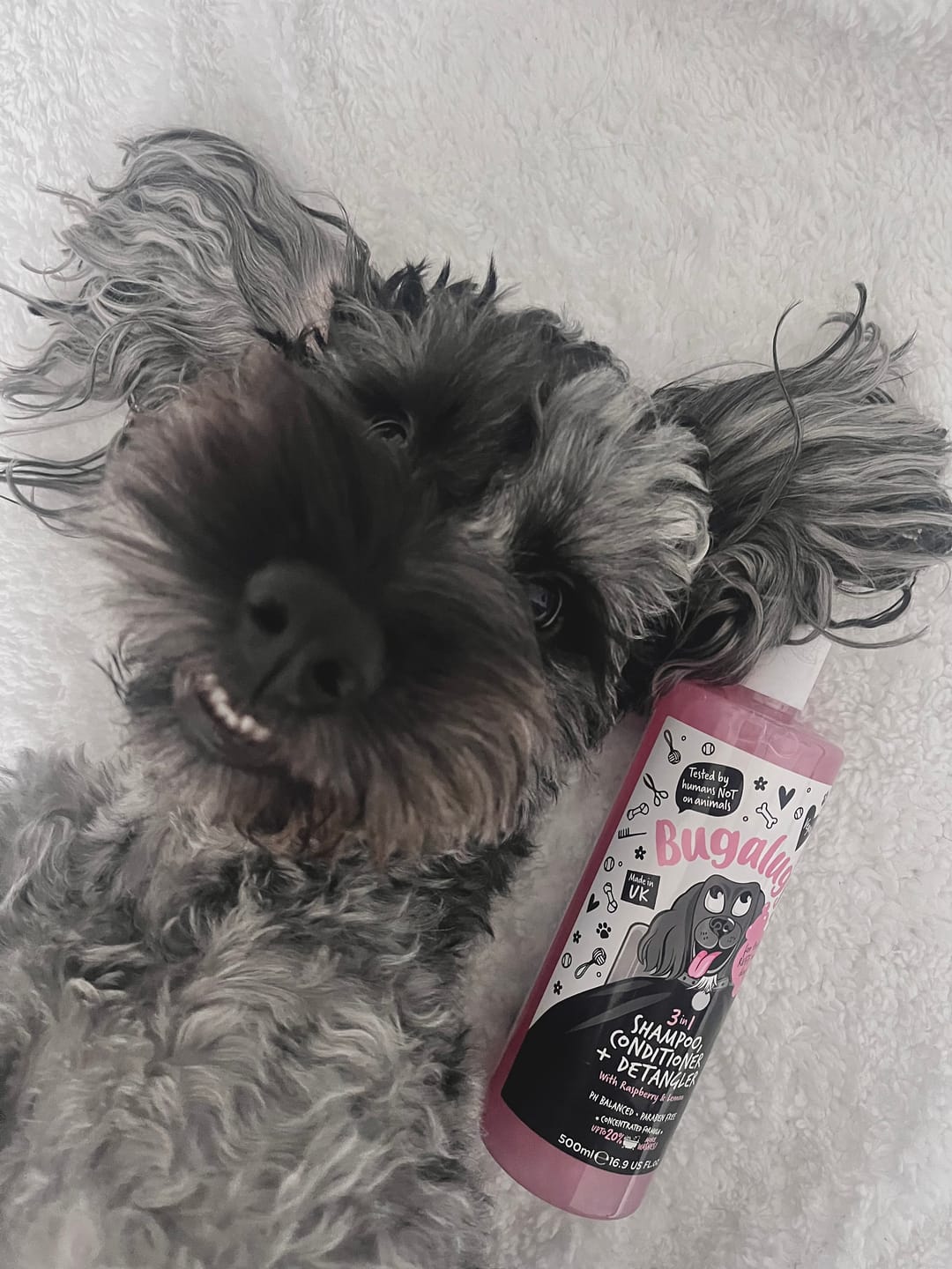 Customer photo review of 3 in 1 Raspberry & Lemon Dog Shampoo, Conditioner & Detangler
