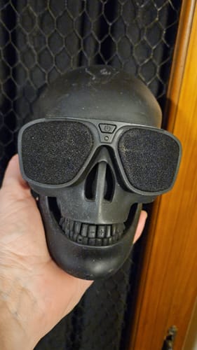Customer photo review of Just Love Skulls Speaker