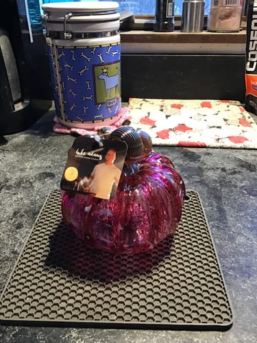 Customer photo review of The Giving Pumpkin - Helping an Artist Rebuild