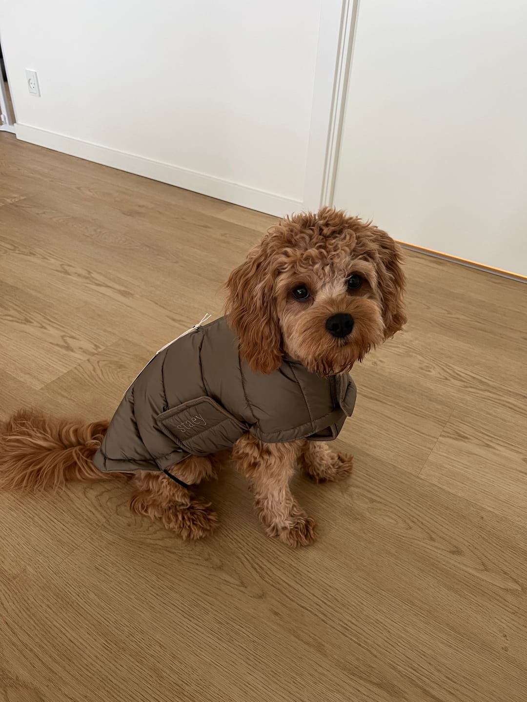 Customer photo review of Staey - Nora Hundefrakke, Taupe
