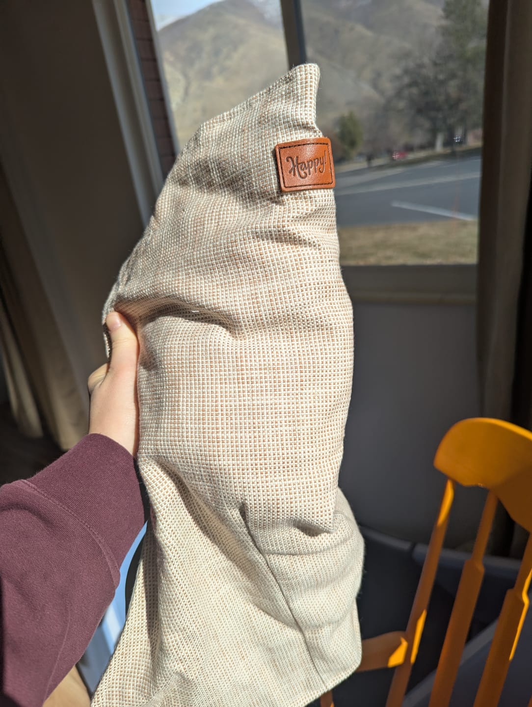 Customer photo review of Happy Toddler Carrier