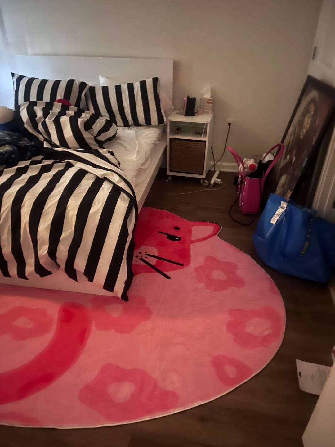 Customer photo review of Lu Yang Pink Panther Area Rug