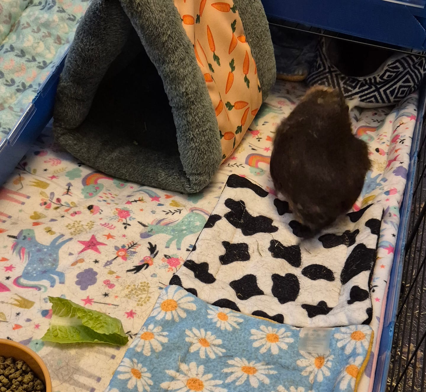 Customer photo review of Fleece Liners | Unicorn