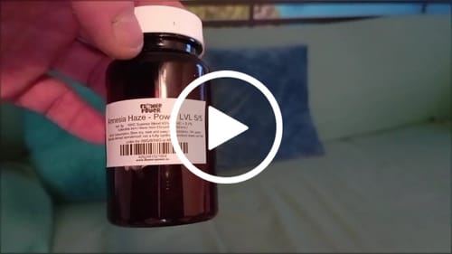 Customer video review of 😶‍🌫️ Amnesia Haze - Power LVL: 5/5