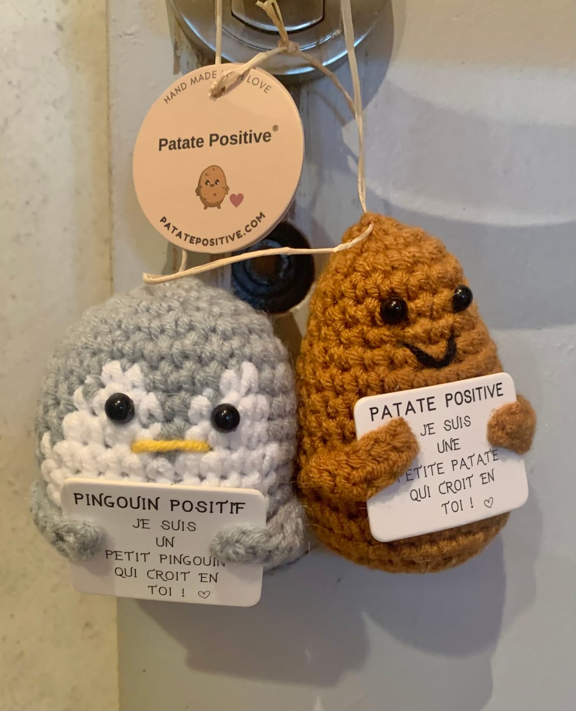 Customer photo review of PATATE POSITIVE