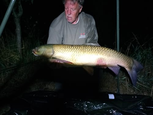 Customer photo review of CARPE EXTRUDEE (PURPLE PELLET)