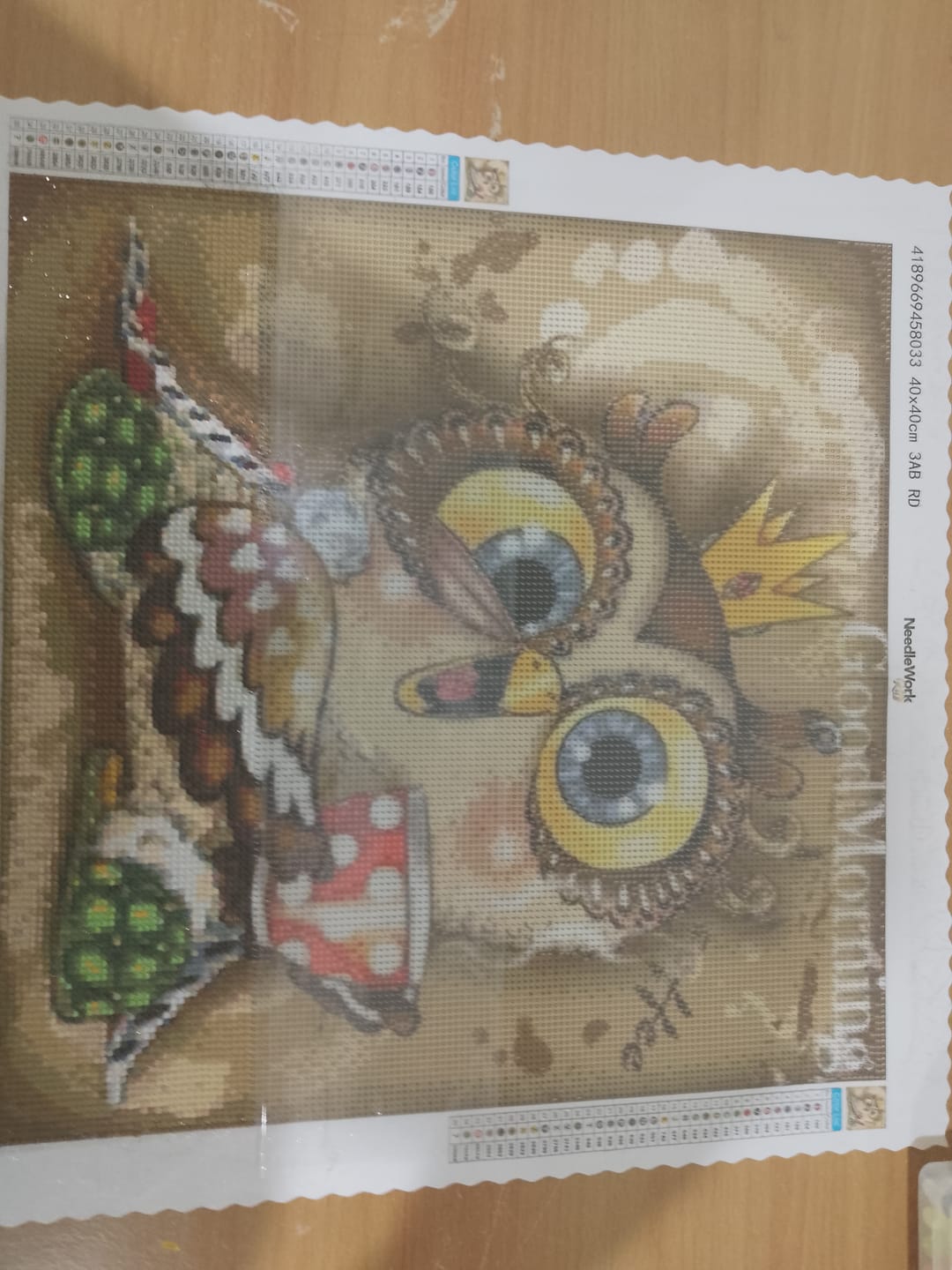 Customer photo review of Full Drill - 5D DIY Diamond Painting Kits Lovely Cartoon Queen Owl Morning Tea