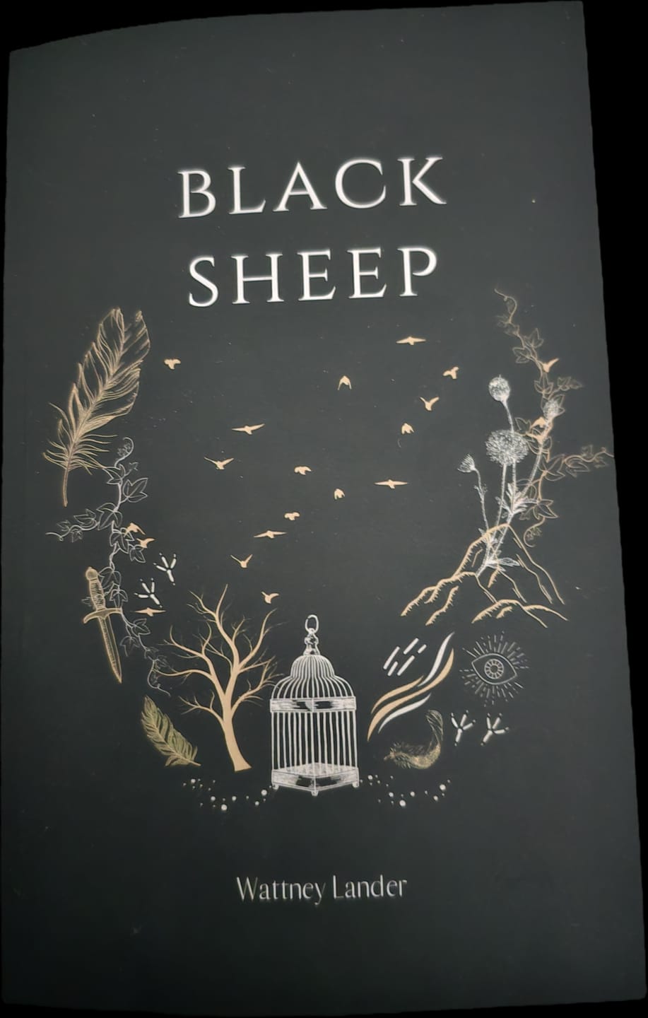 Customer photo review of Black Sheep