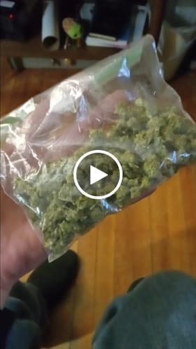 Customer video review of Greenhouse Smalls