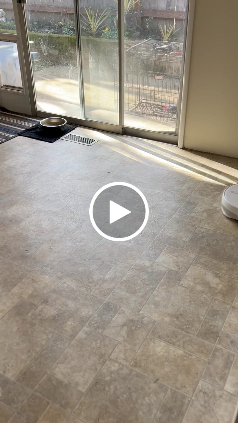 Customer video review of Narwal Freo Versatile Self Mop Clean Robot with DirtSense