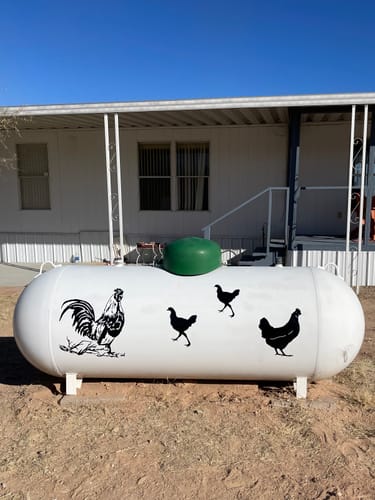 Customer photo review of Walking Chicken Decal