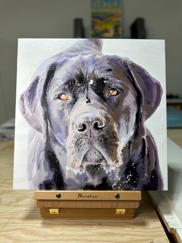 Customer photo review of Paint Your Pet by Numbers Featuring Custom Paint by Numbers Kit