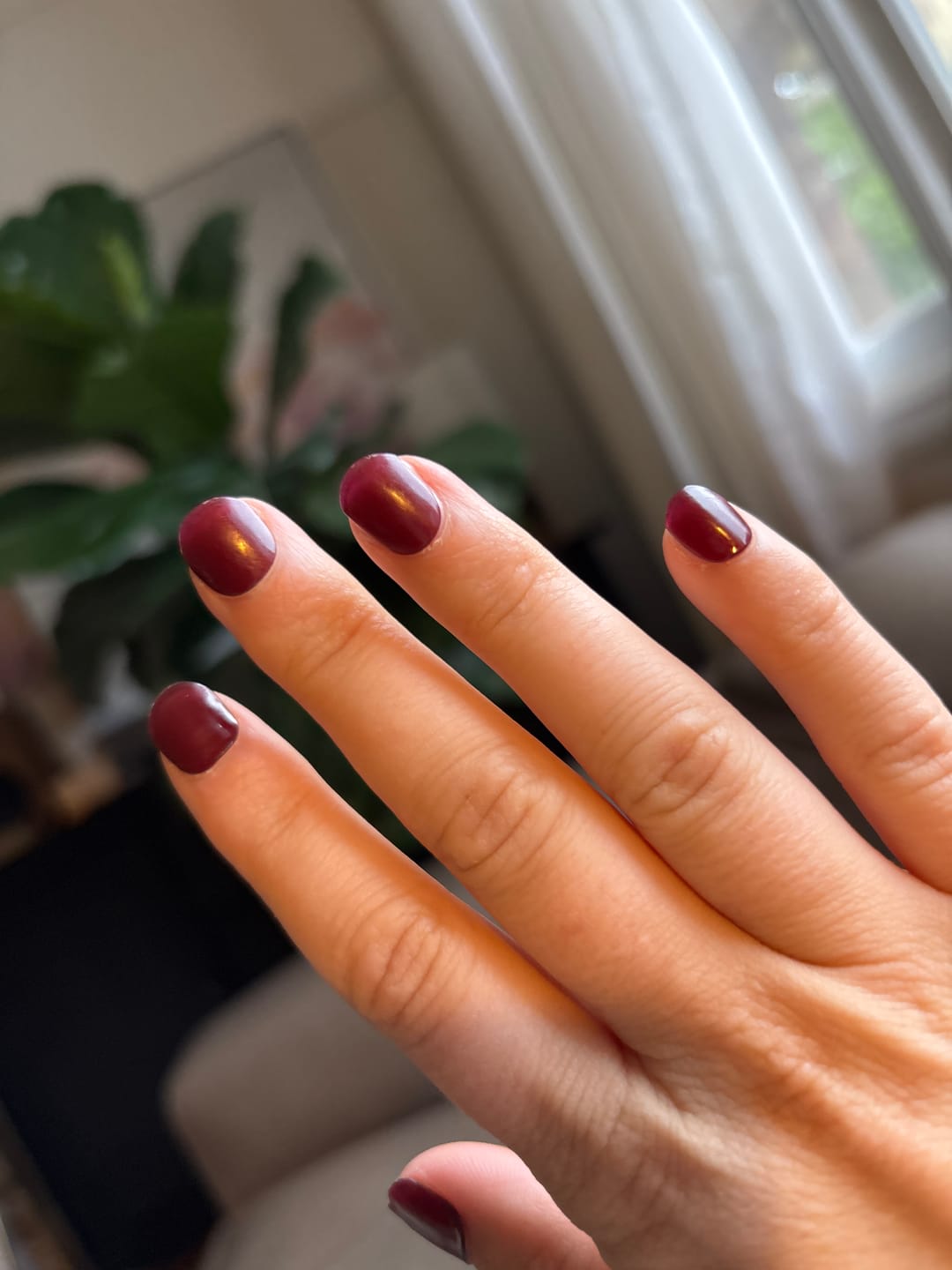 Customer photo review of Sweet Cherry DIY Semicured Gel Nail Sticker Kit