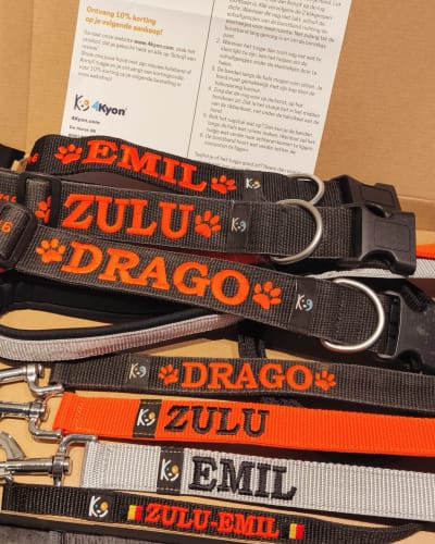 Customer photo review of Dog Collar with Name - XL | 4Kyon