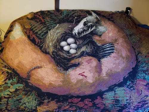 Customer photo review of Life in Death (Blanket)