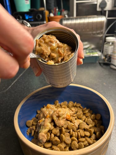 Customer photo review of Hill's Prescription Diet K/D Stew Kidney Mobility Care Wet Dog Food Can