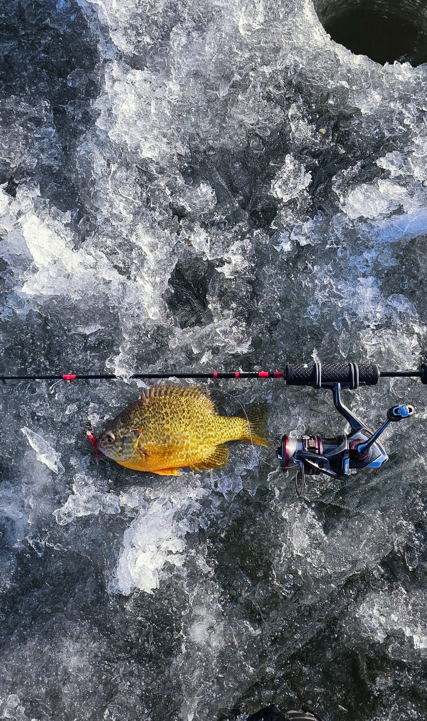Customer photo review of Custom Carbon Ice Rod