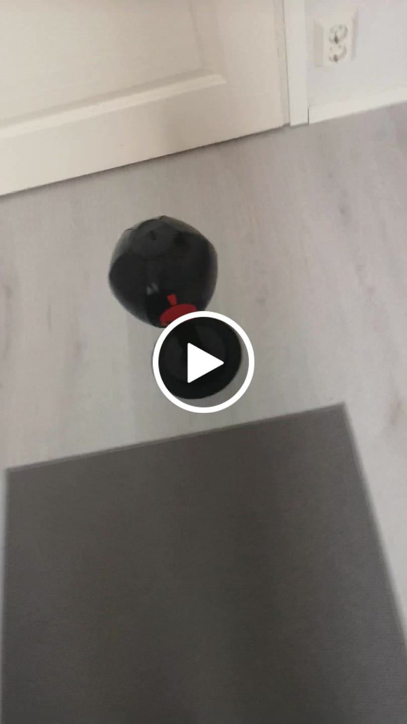 Customer video review of Sparta Punch Bag
