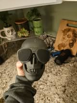 Customer photo review of Just Love Skulls Speaker