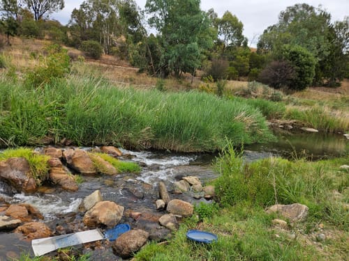 Customer photo review of 1088 Gold Rat sluice - with Mini cell Dream mat