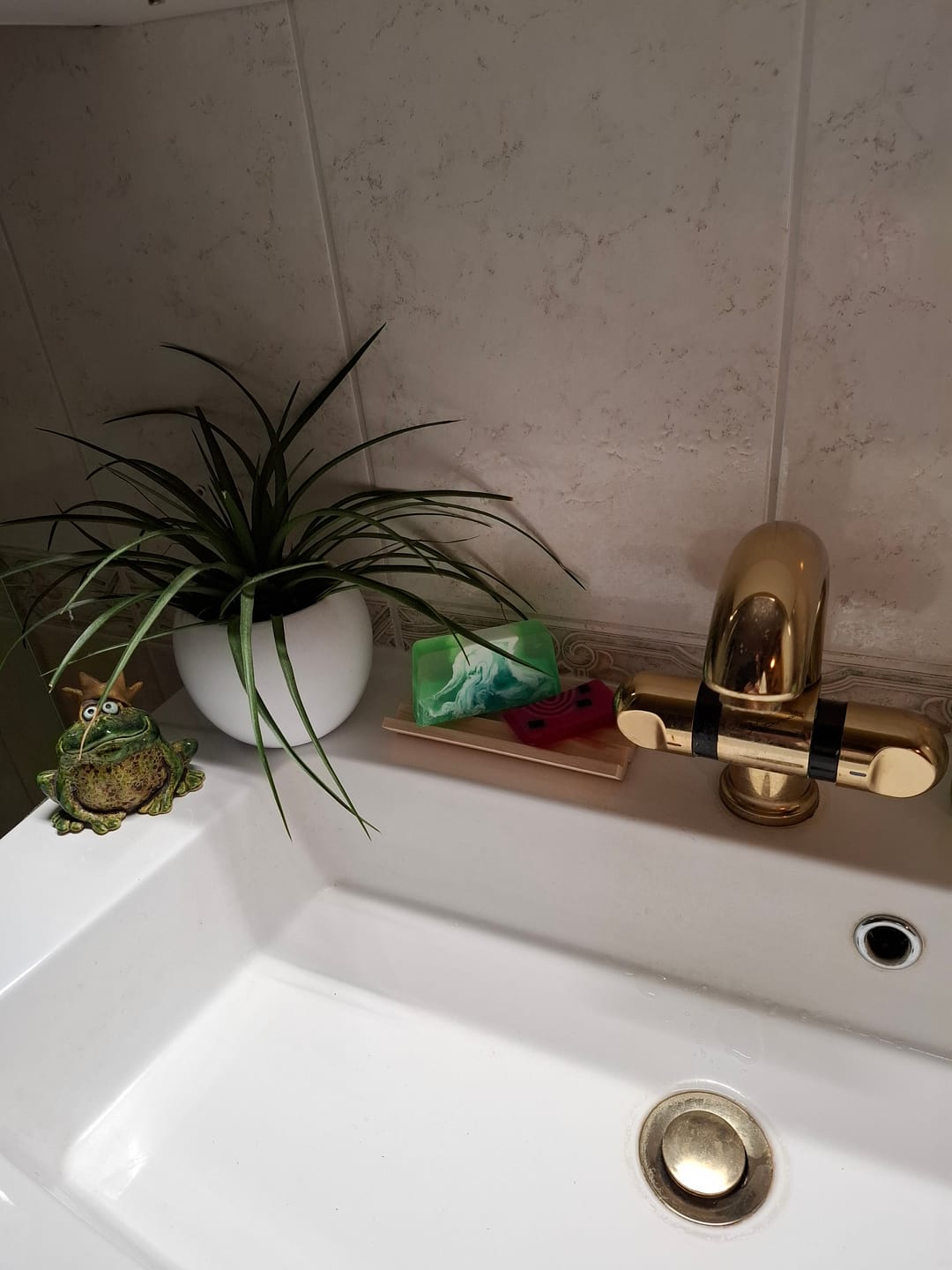 Customer photo review of Summer Fresh