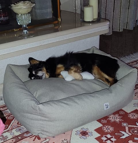 Customer photo review of Divanetto Mattias Ardesia (Soft Touch)