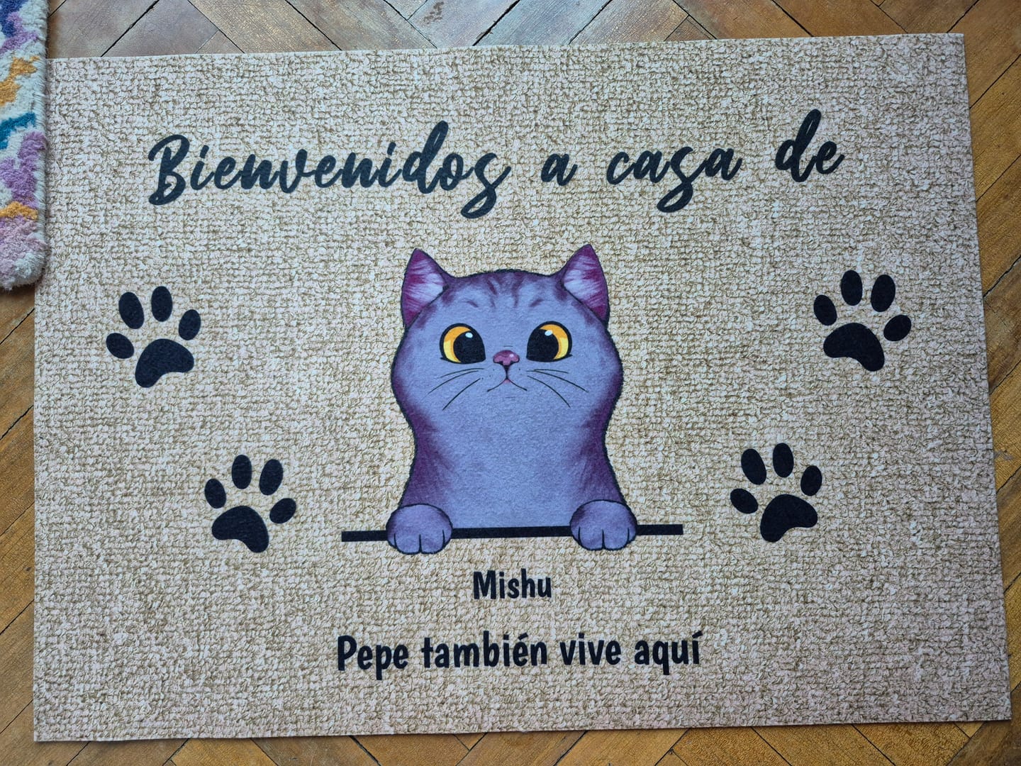 Customer photo review of Bienvenidos a lo de gatos curiosos - Felpudo personalizado