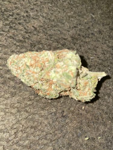 Customer photo review of Mango Haze