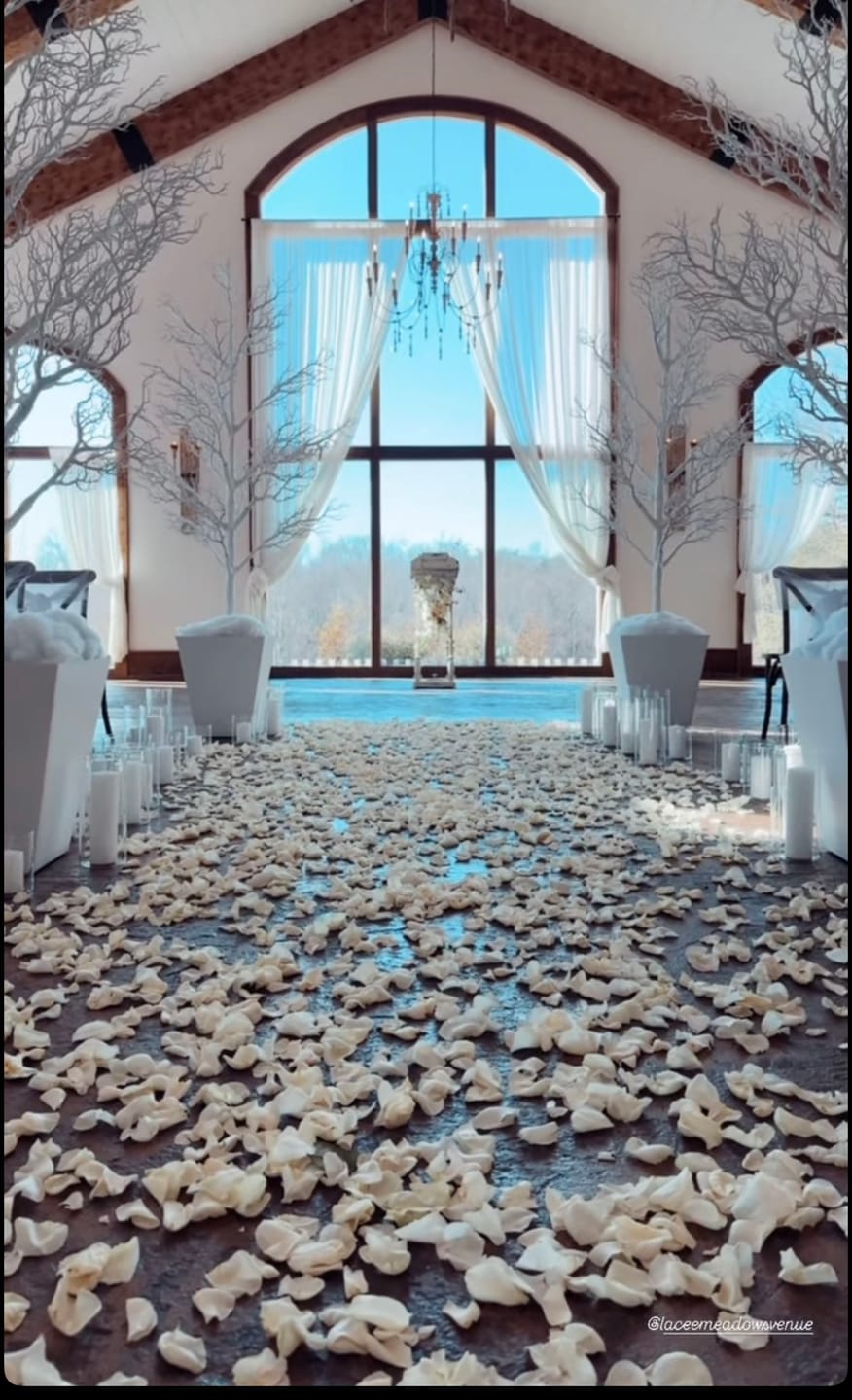 Customer photo review of White Rose Petals