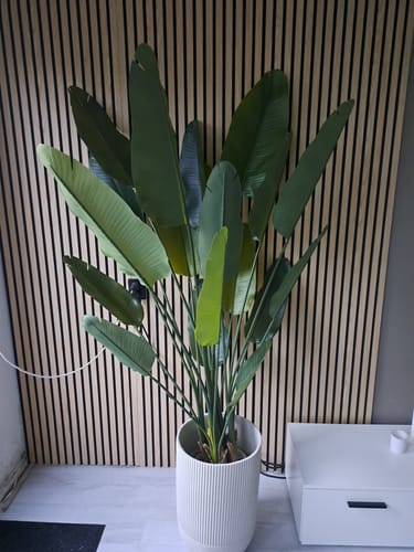 Customer photo review of Strelitzia Kunstplant 180cm
