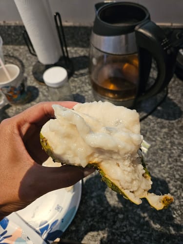 Customer photo review of Soursop
