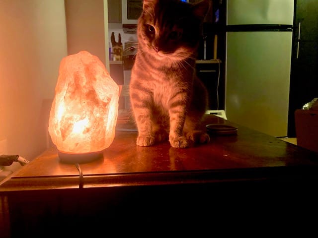 Customer photo review of Original Himalayan Salt Lamp (Medium)