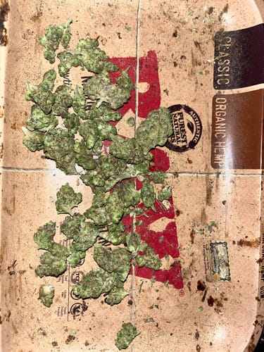 Customer photo review of Garlic Breath Smalls
