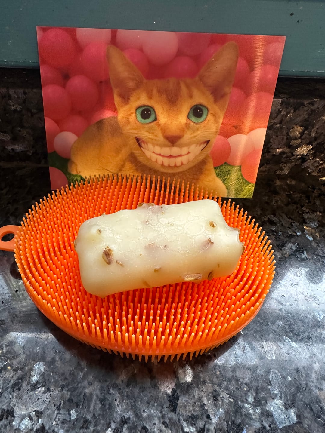 Customer photo review of Lavender + Bergamot Mint + Oatmeal soap bar