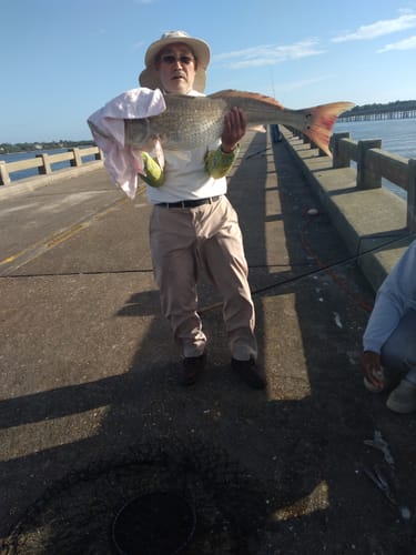 Customer photo review of Kanama Luminous Live Shrimp Hooks