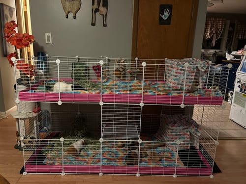 Customer photo review of White Two Tier 5x2 C&C Double Cage