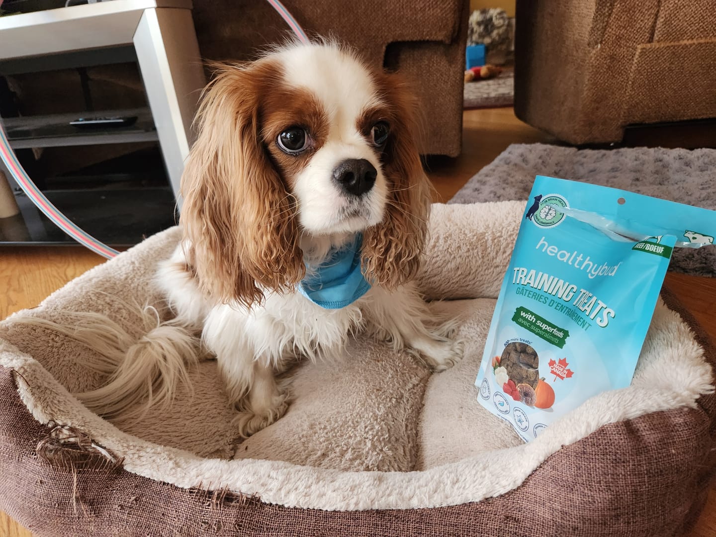 Customer photo review of Chicken Mini Training Treats