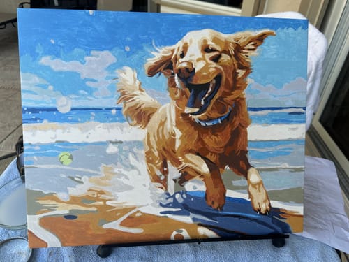 Customer photo review of Happy Retriever