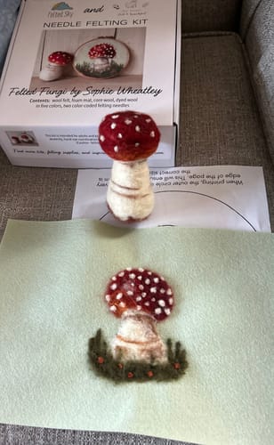 Customer photo review of Sophie Wheatley's Felted Fungi Supplies Box