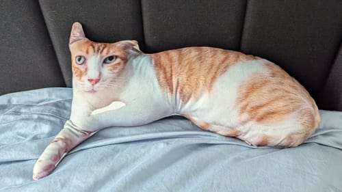 Customer photo review of Custom Pet Pillow