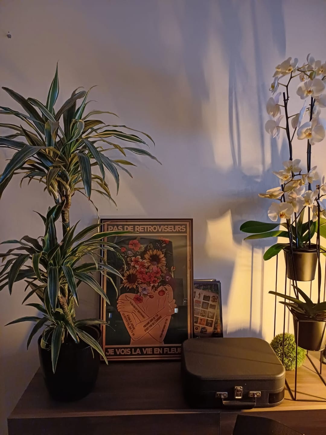 Customer photo review of Pas de rétroviseurs, je vois la vie en fleurs