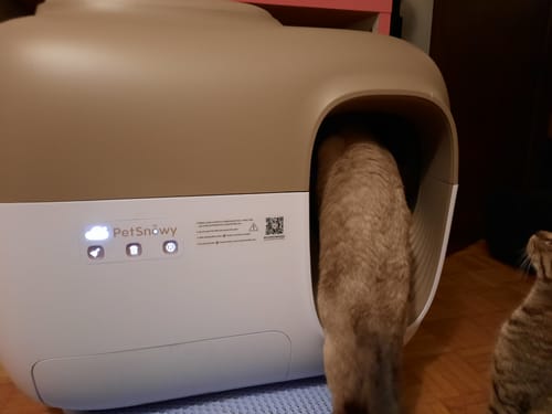 Customer photo review of Self-Cleaning Litter Box