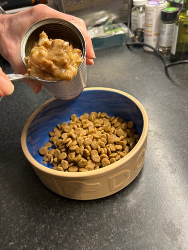 Customer photo review of Hill's Prescription Diet K/D Kidney Mobility Care Dry Dog Food
