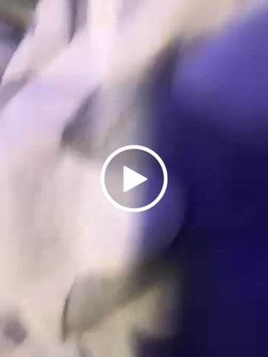 Customer video review of Sp5der Beluga Hoodie