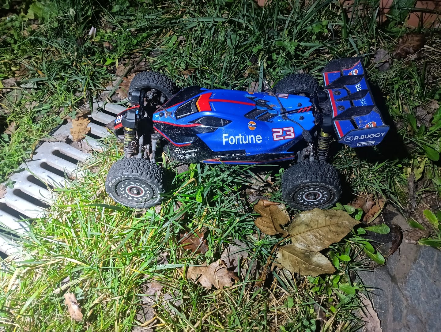 Customer photo review of 1/12 Metal Brushless 4WD RTR Buggy,X12S