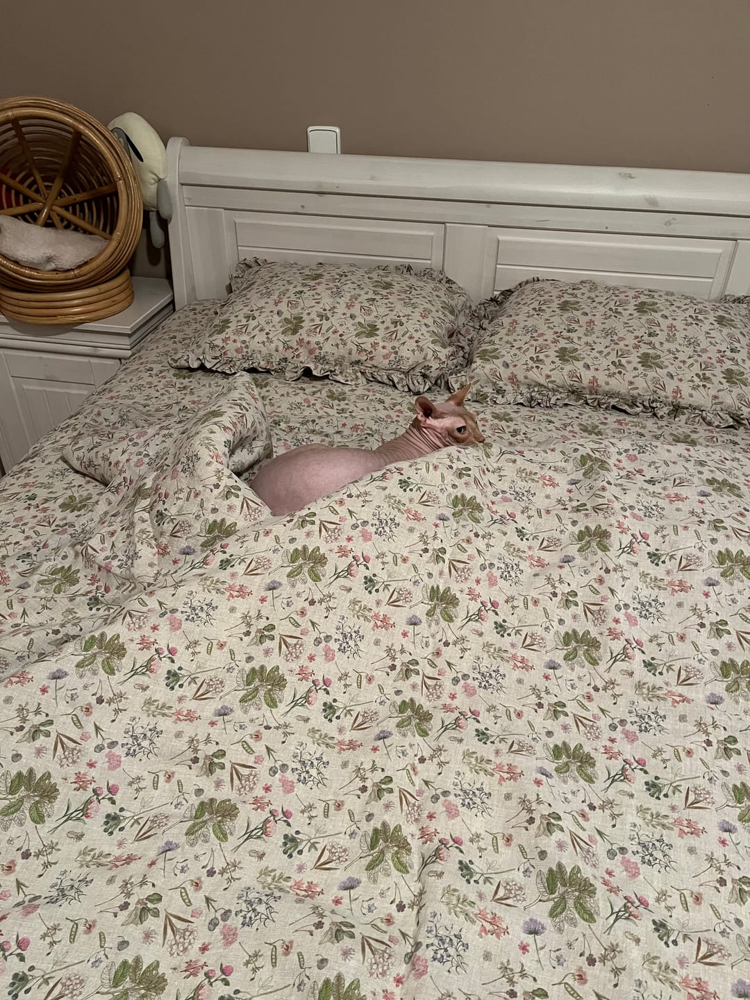Customer photo review of Botany 2 Linen Fitted Sheet