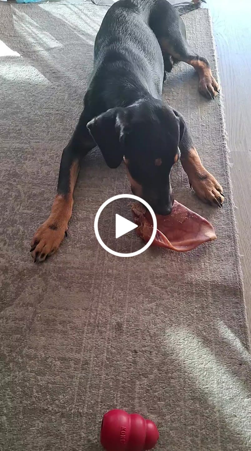 Customer video review of Patas de pollo