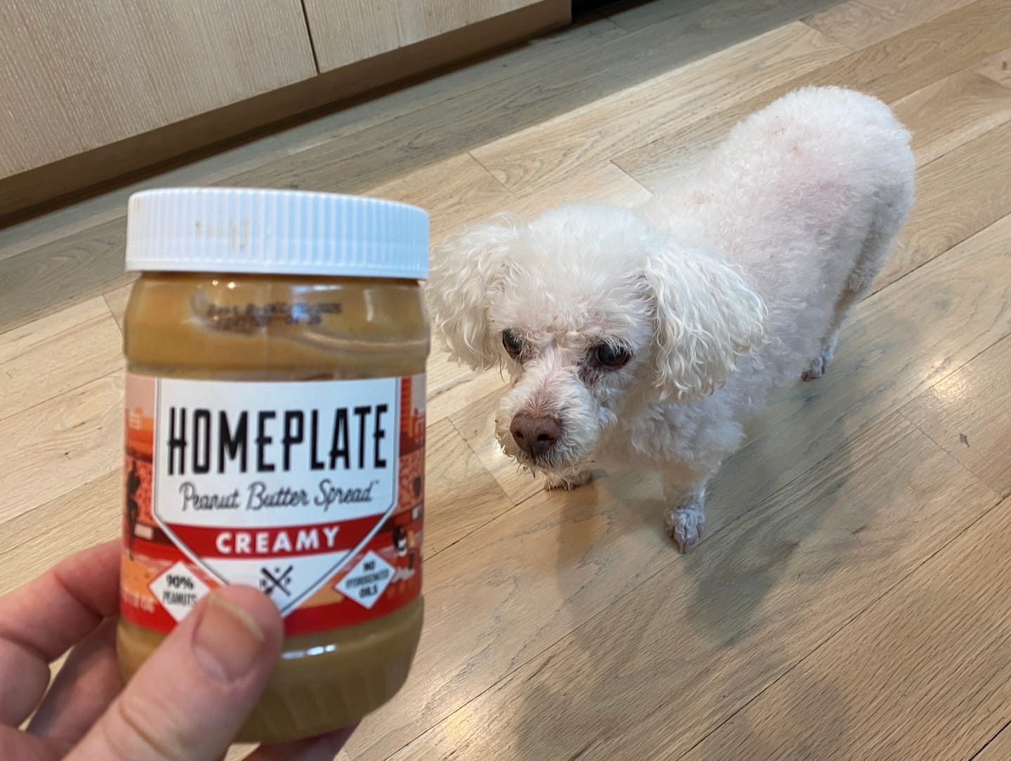 Customer photo review of Creamy Peanut Butter (3 pack)