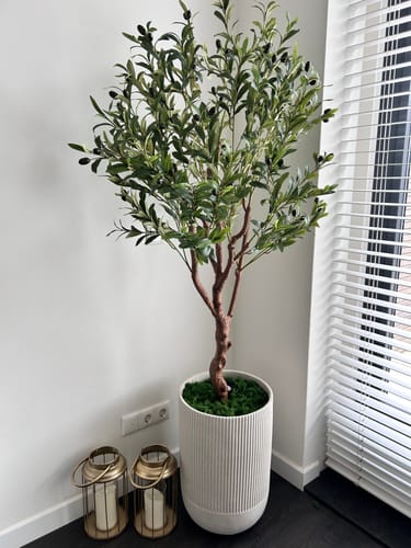 Customer photo review of Kunst Olijfboom 150cm